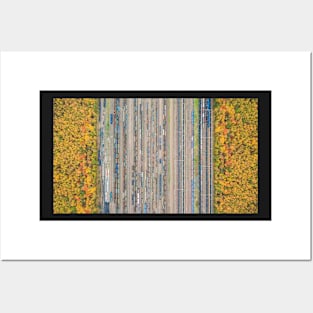Autumn forest and railway depot top down aerial view Posters and Art